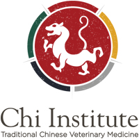 Chi Institute Logo